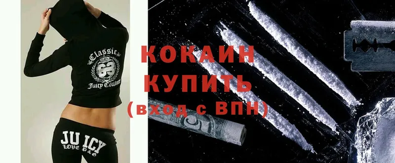 Кокаин FishScale  где найти наркотики  Гвардейск 